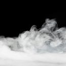 Dératisation écologique : les avantages de la glace carbonique pour les entreprises