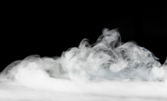 Dératisation écologique : les avantages de la glace carbonique pour les entreprises