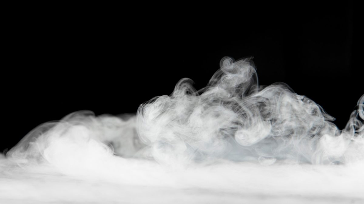 Dératisation écologique : les avantages de la glace carbonique pour les entreprises
